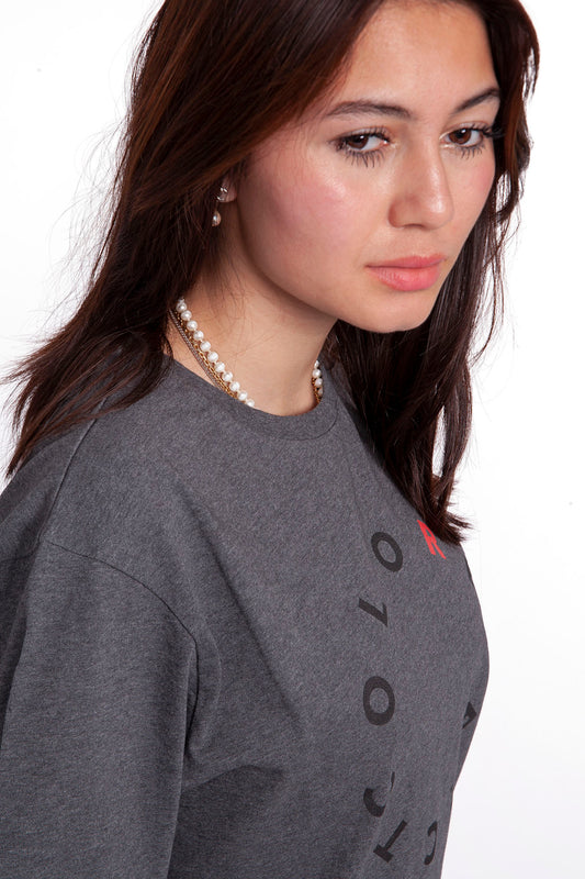 Lion T-Shirt Grey Melange